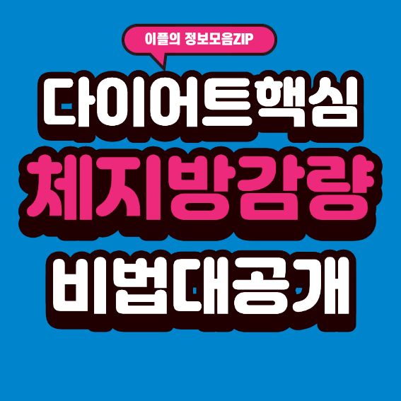 살은 빠지는데 체지방이 안 빠진다면 꼭 봐야 할 체지방 감량 루틴