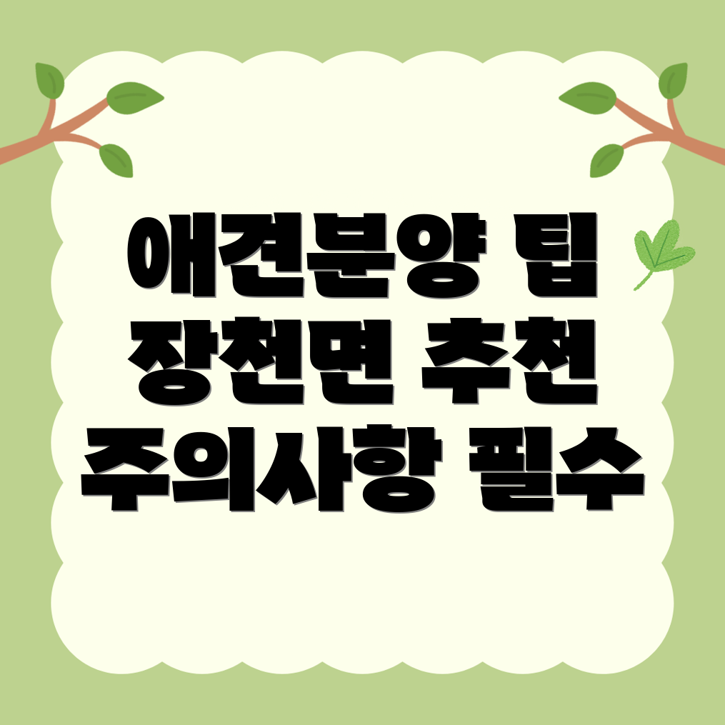구미시 애견분양