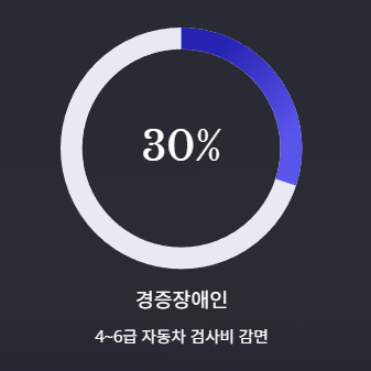 경증장애인 자동차 검사비