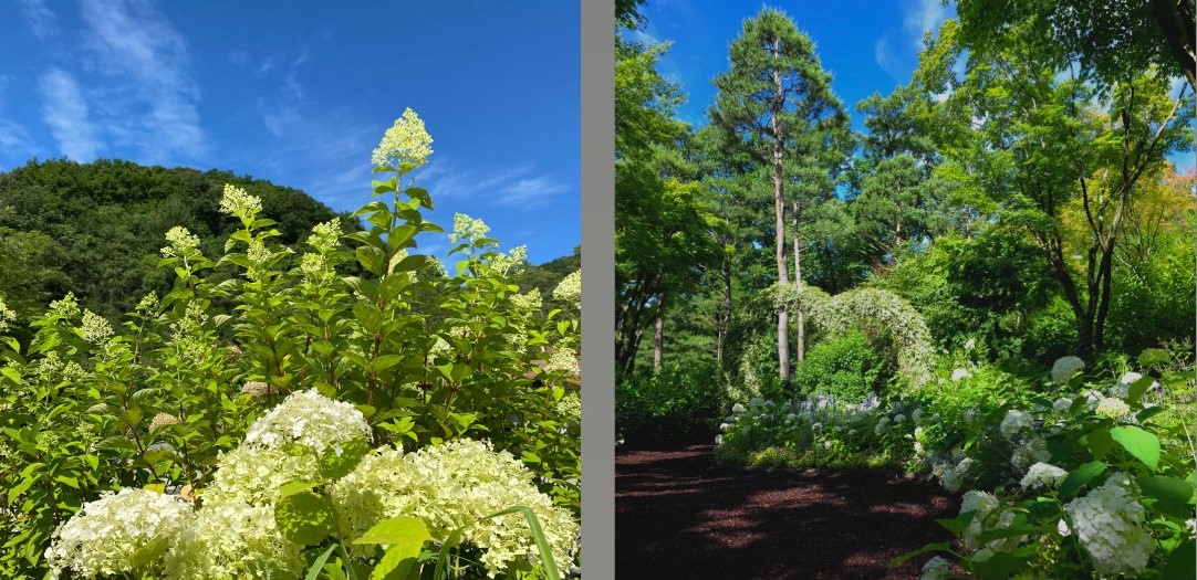 화담숲 예약하기 및 이용방법(가는길 안내)