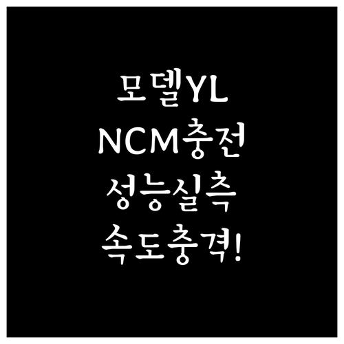 테슬라 모델 YL NCM 배터리 성능..