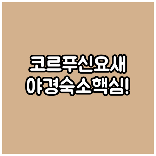 그리스 코르푸 여행 버킷리스트 코르푸..