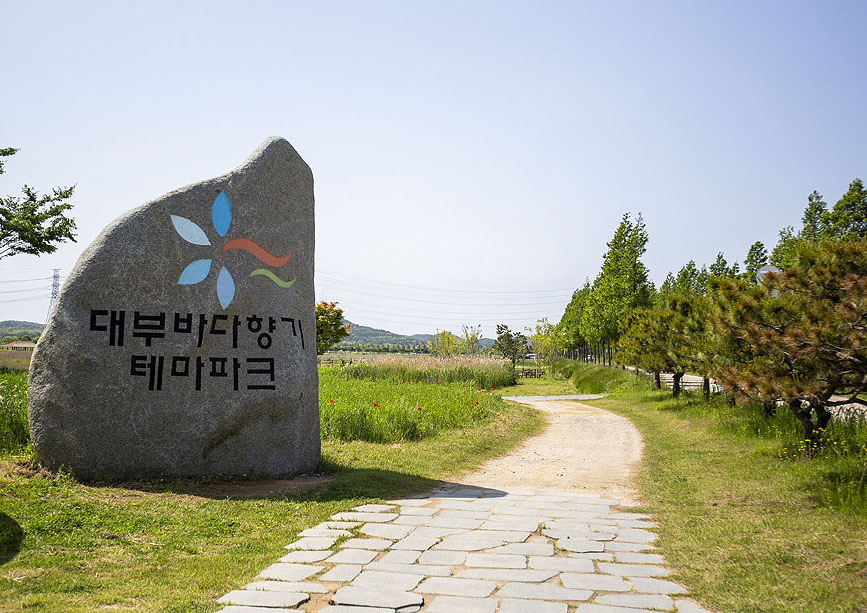 대부도파크골프장 (대부바다향기테마파크 페스티벌파크,
메타세콰이어길 파크골프장)