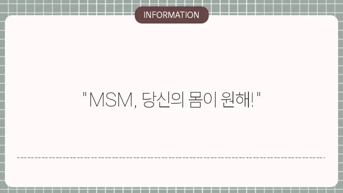 MSM의 에너지 회복 효과