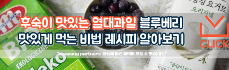 블루베리 먹는법
블루베리 스무디 레시피
블루베리 맛있게 먹는법