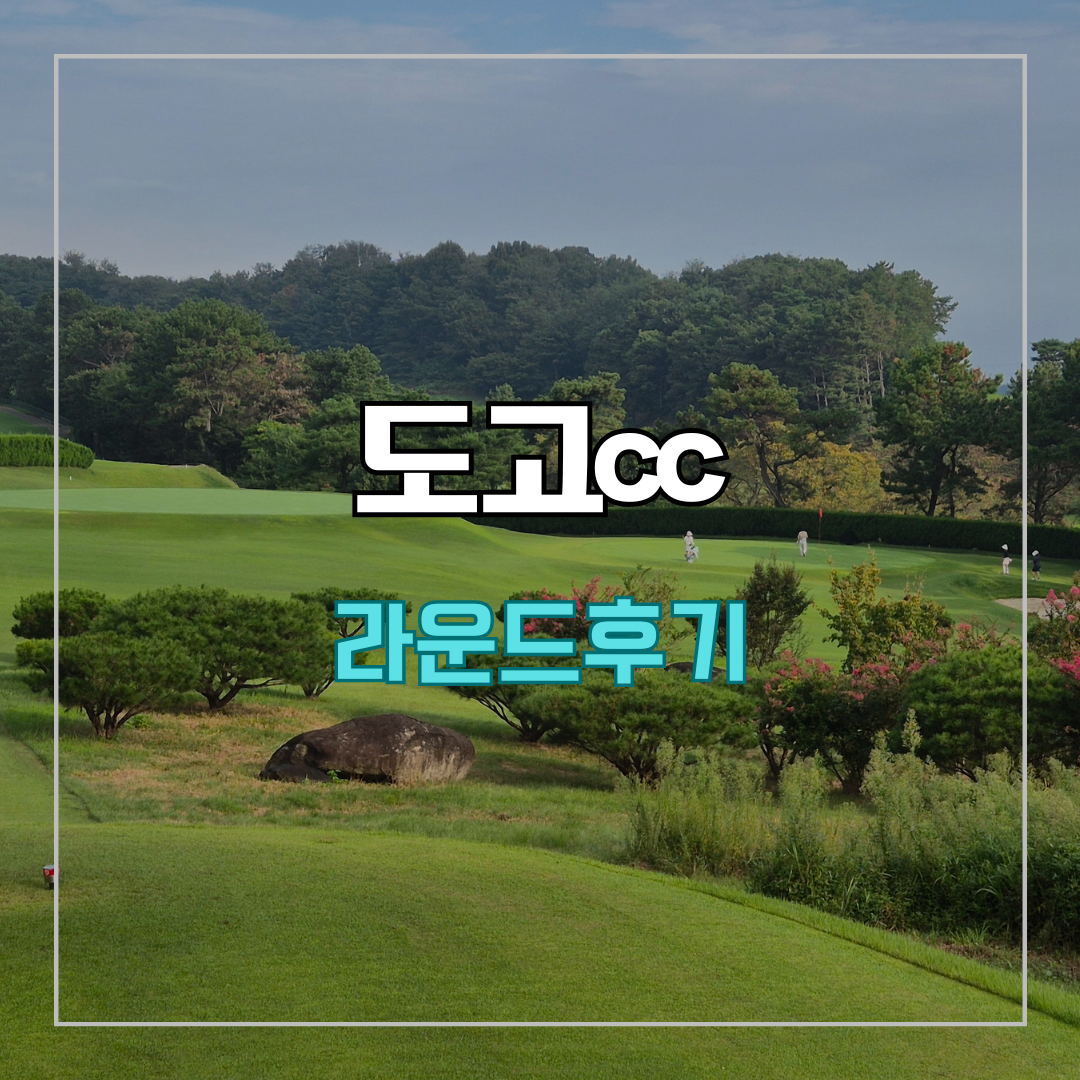 도고cc 라운드 후기