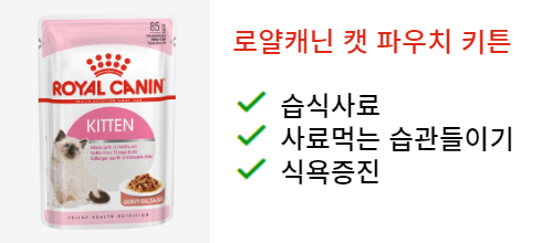 새끼고양이사료추천