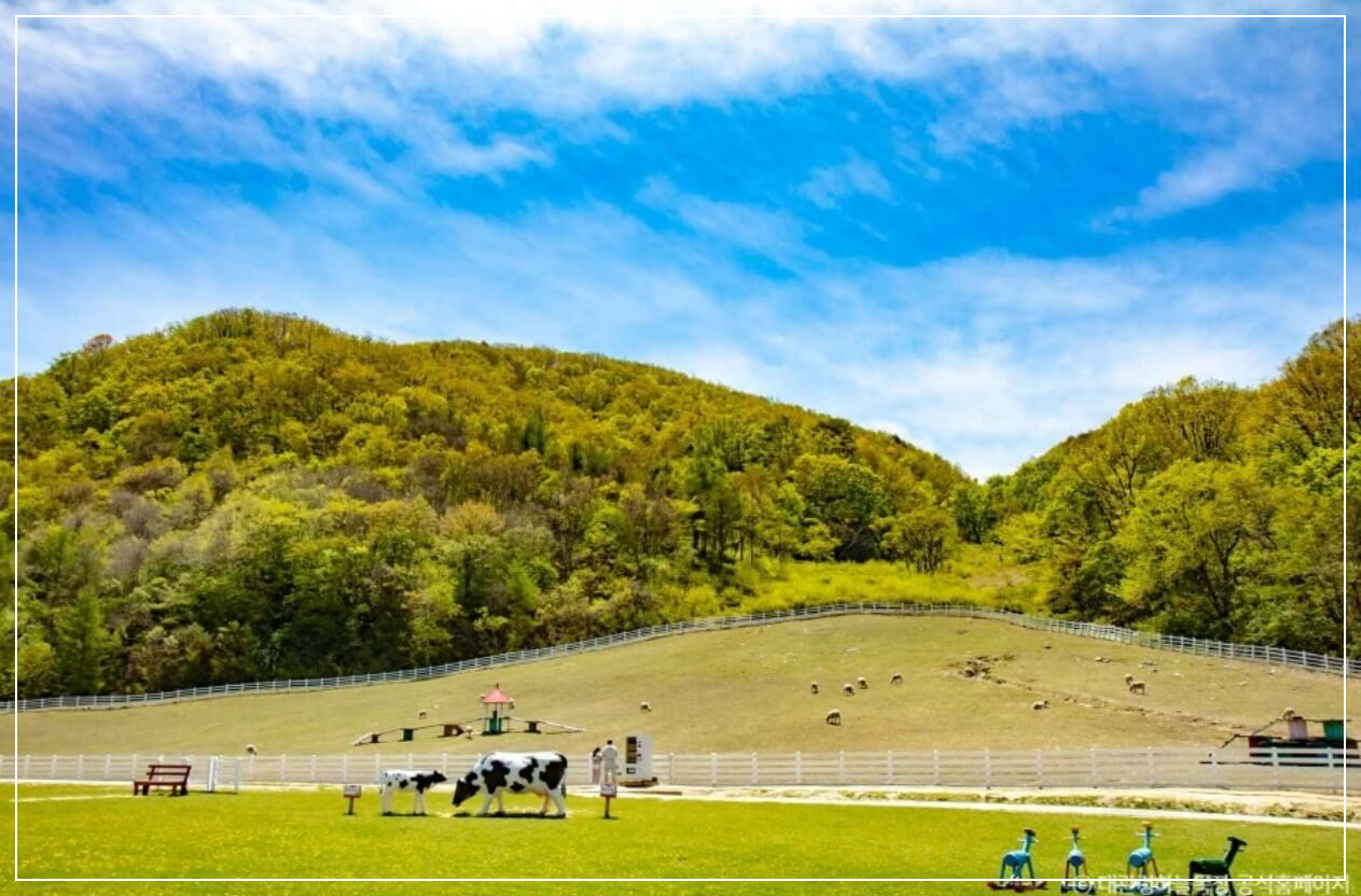 평창 가볼만한곳 베스트10 대관령 하늘목장