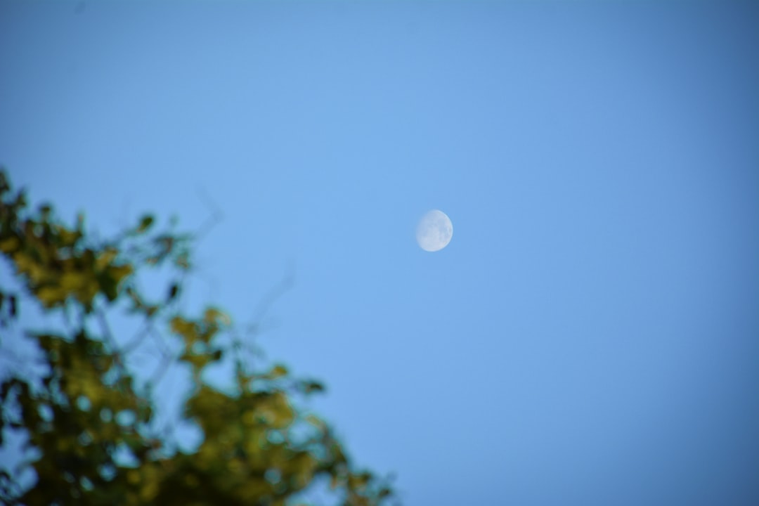 Moon.