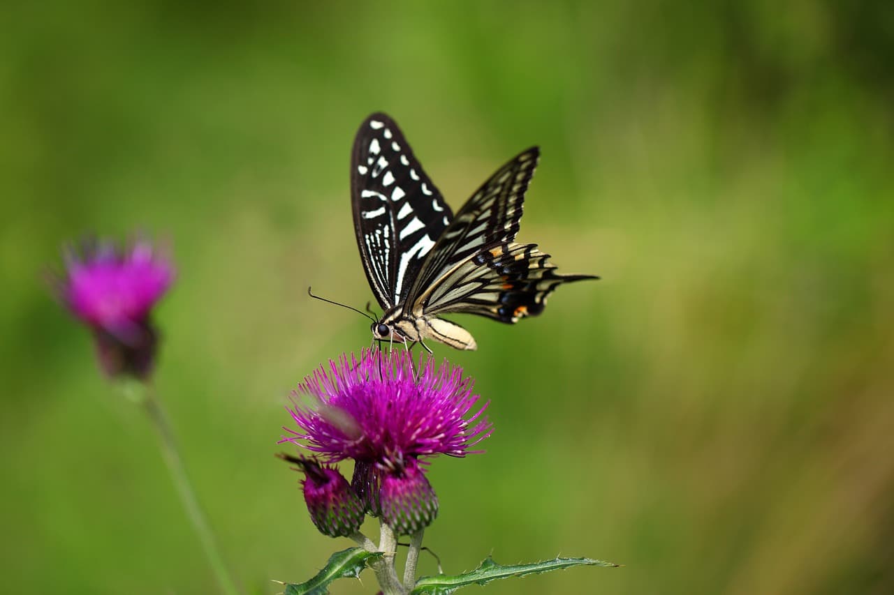 AI가 인간보다 더 윤리적일 수 있을까?