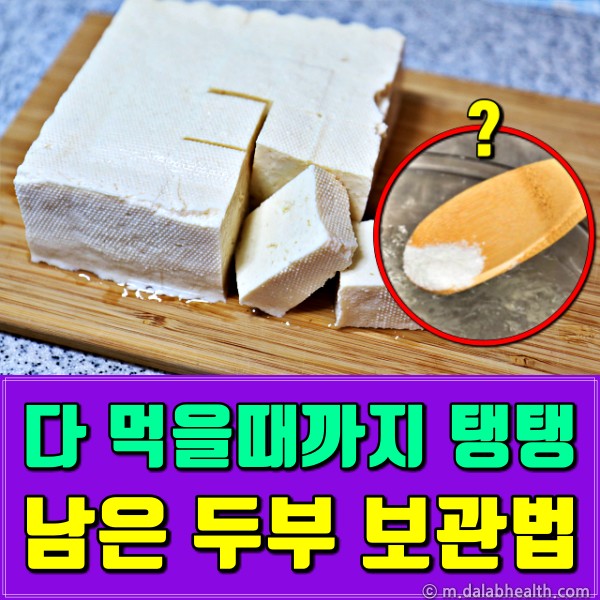 두부 보관법,두부 보관기간,두부 유통기한