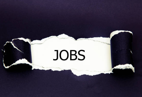 기술에 밀리지 않으려면? AI 대체 직업군과 인간의 경쟁력