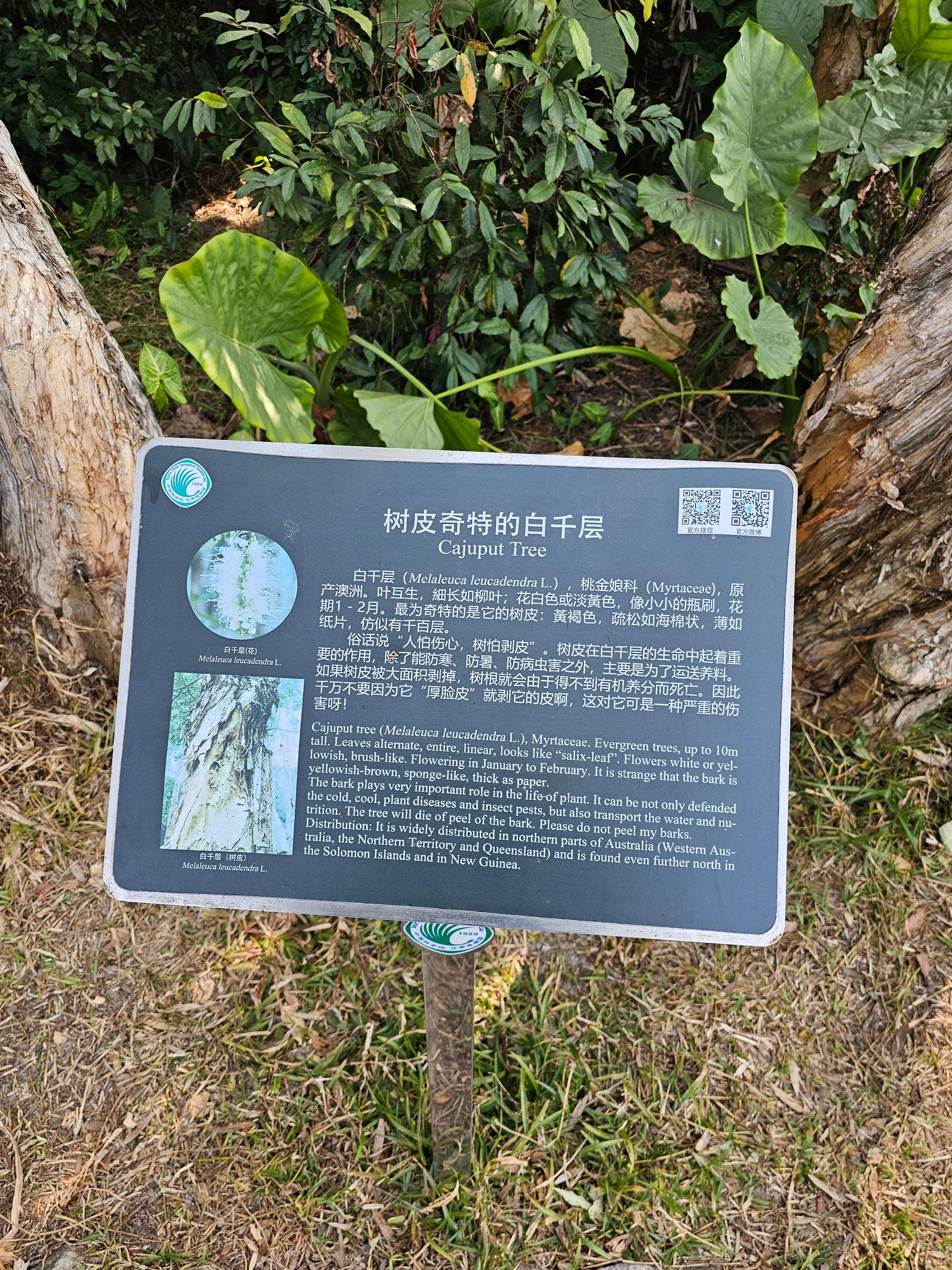 광저우 화남식물원