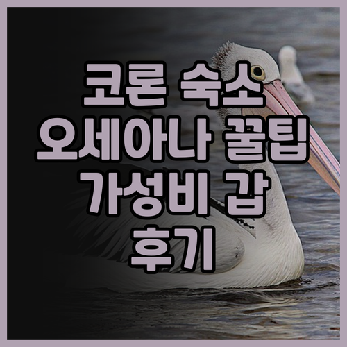 코론 여행의 시작, 가성비 숙소 오세