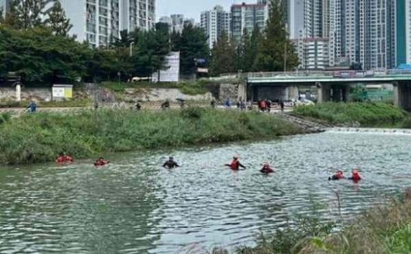 지역사회와 학교의 역할