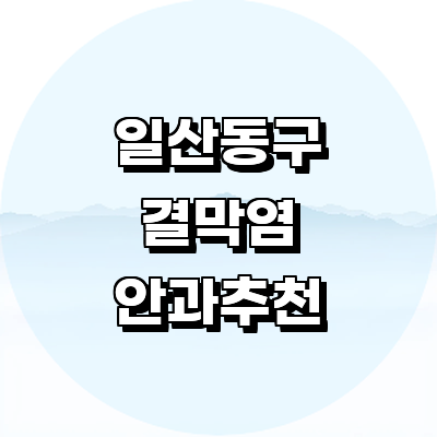 고양 일산동구 안과
