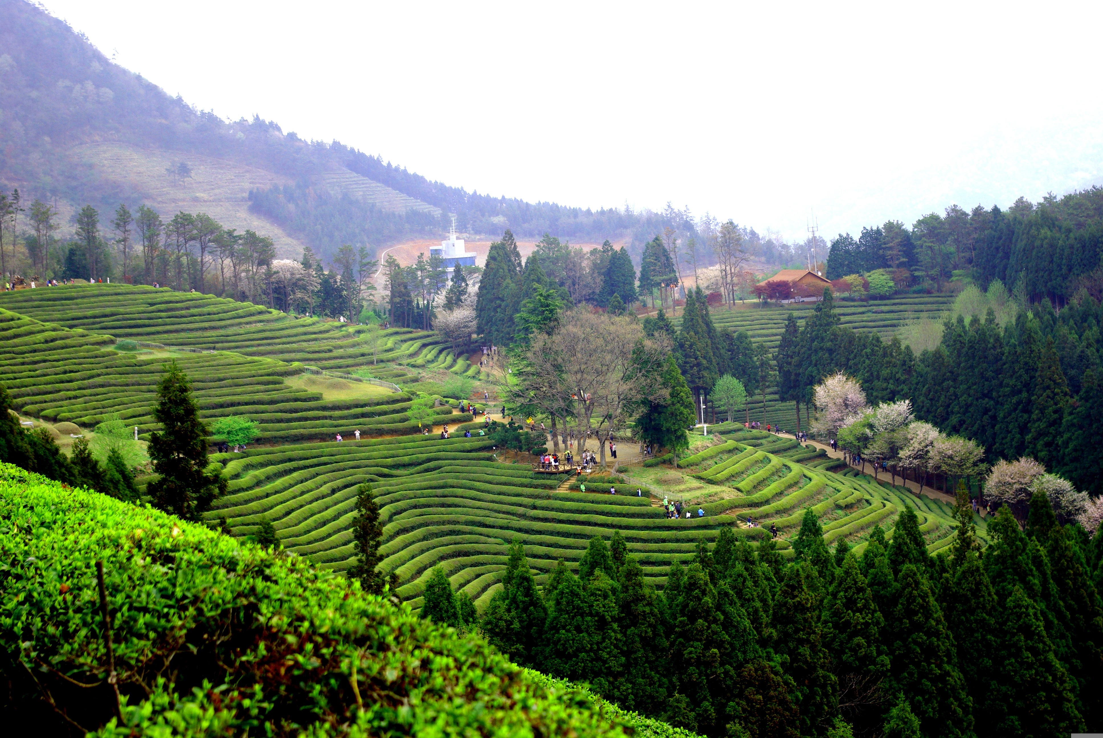 해랑열차 2026 가격 및 예약 정보 안내