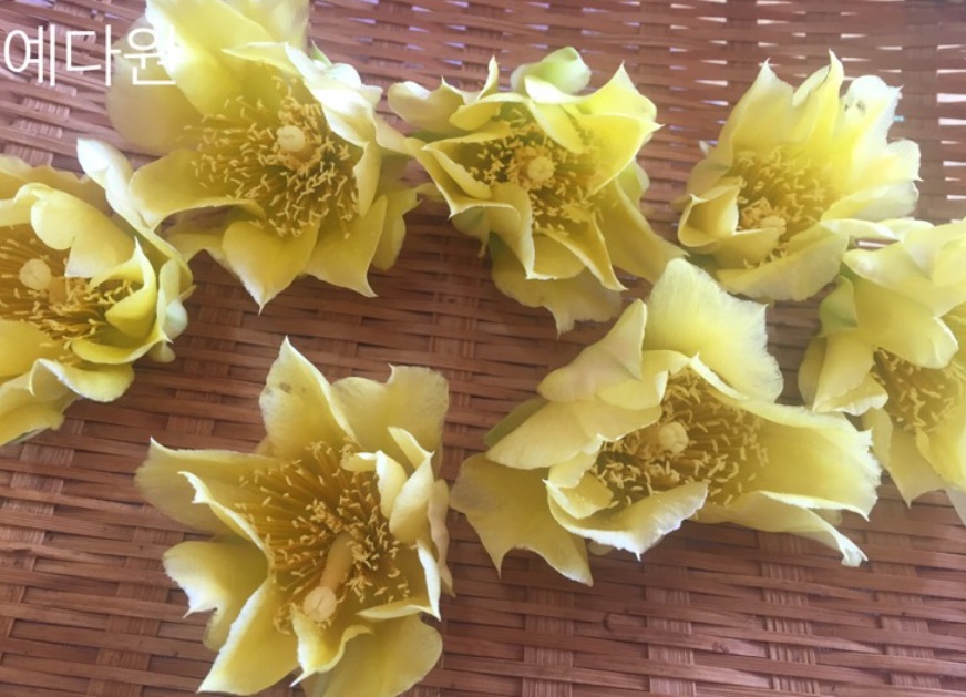 횡성-한옥차방-꽃차-예다원-자연밥상