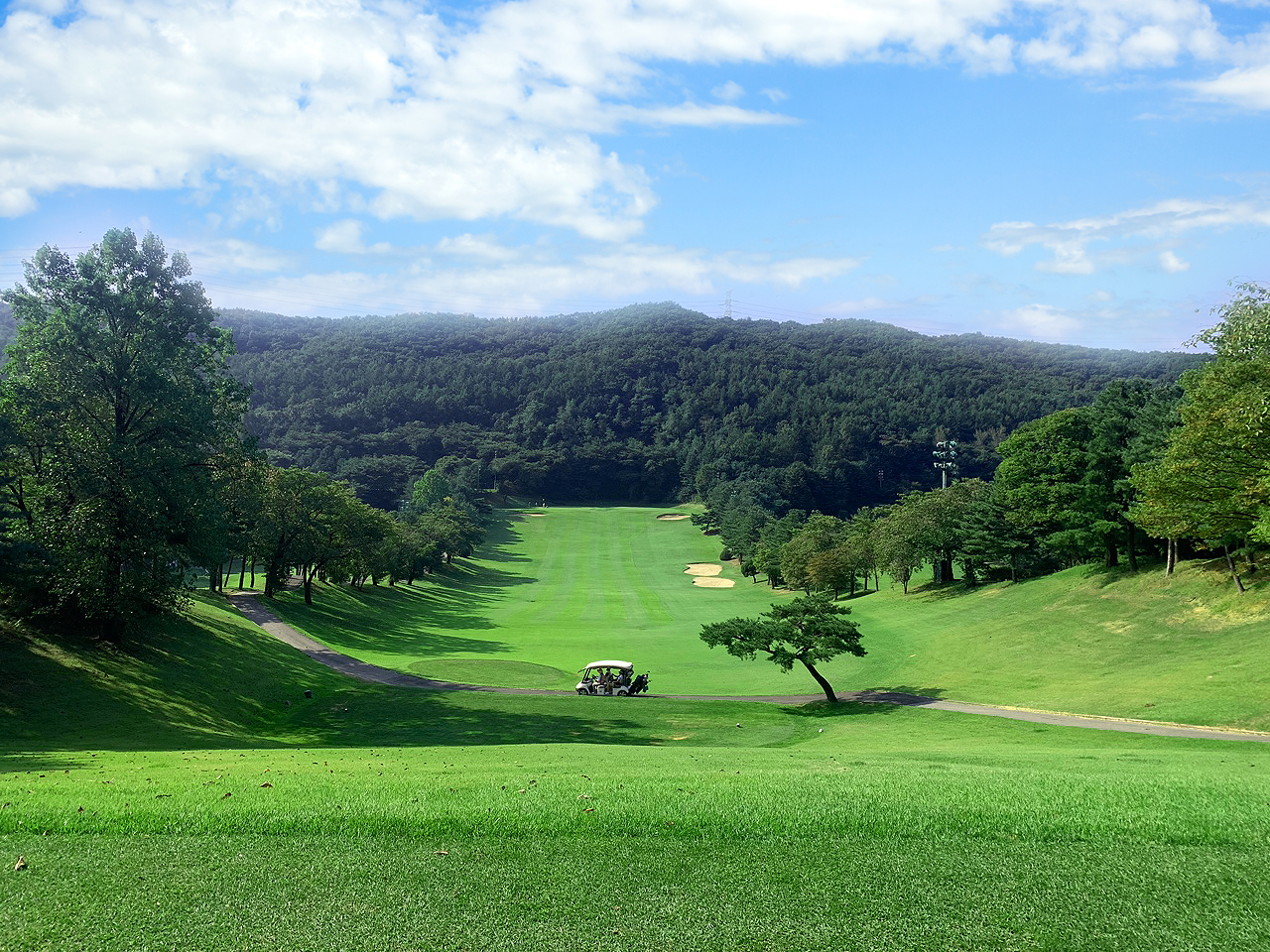 용인 골프장 골드CC 소개