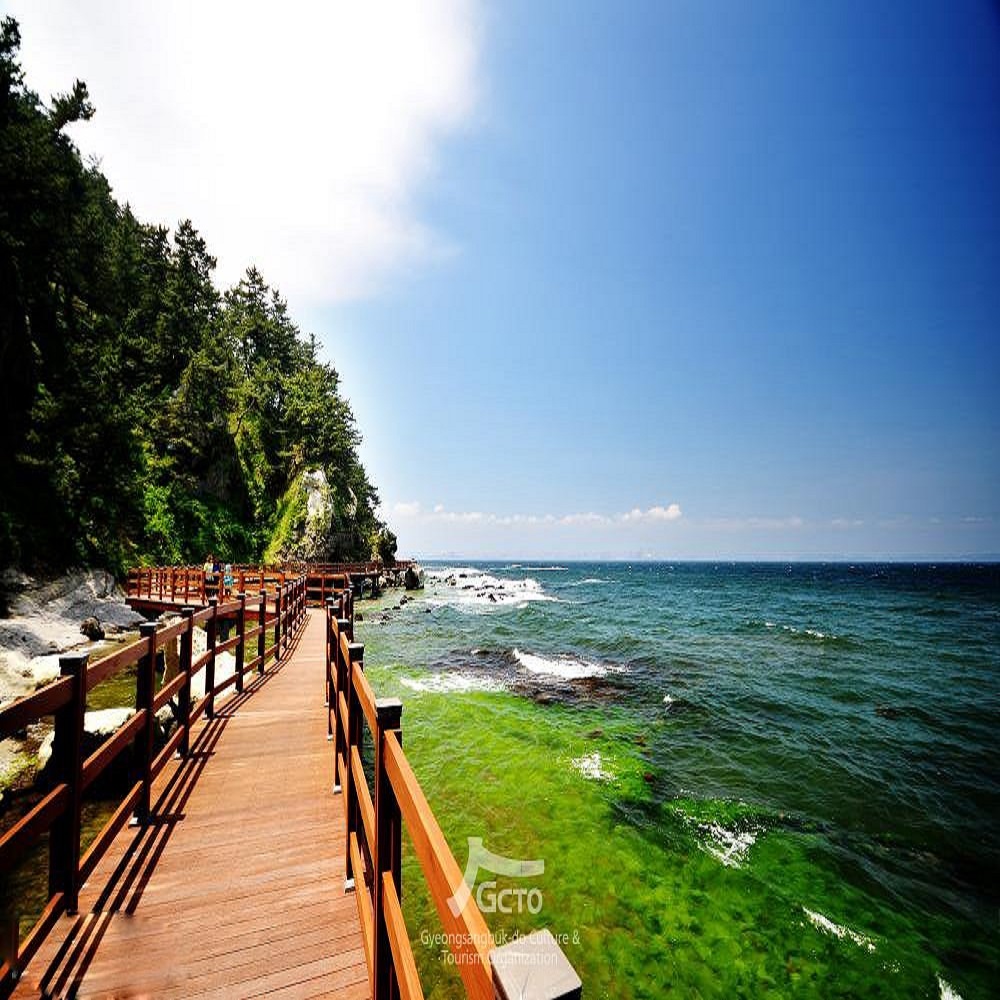 구룡포 해수욕장 바로가기