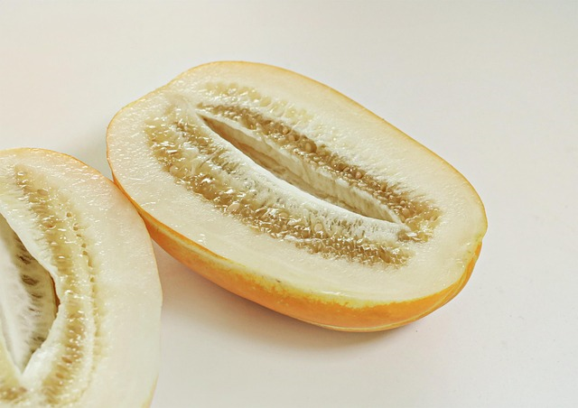 참외_사진_참외씨