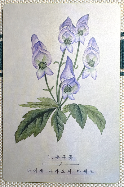 한국의 야생화 카드