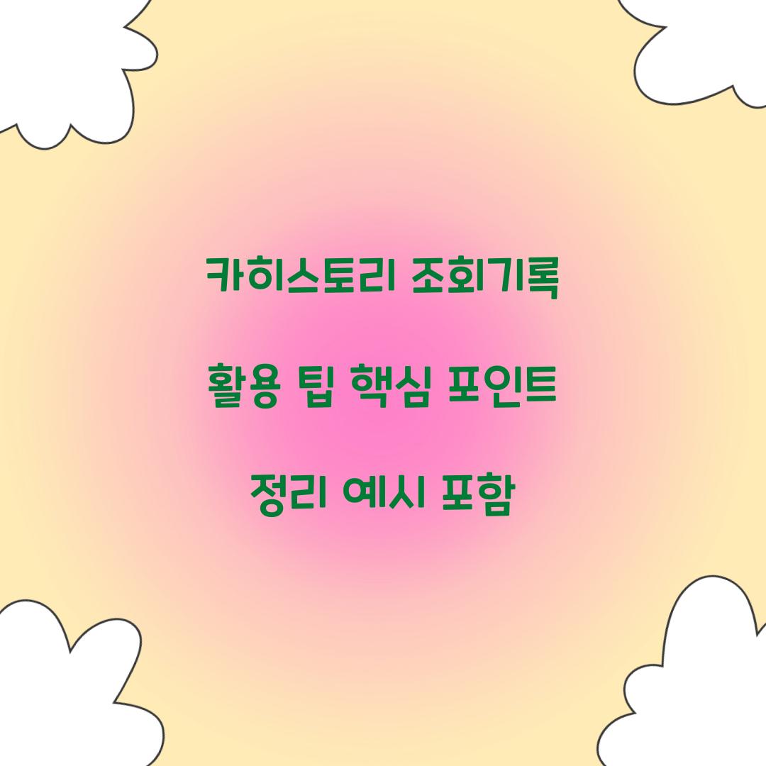 카히스토리 조회기록