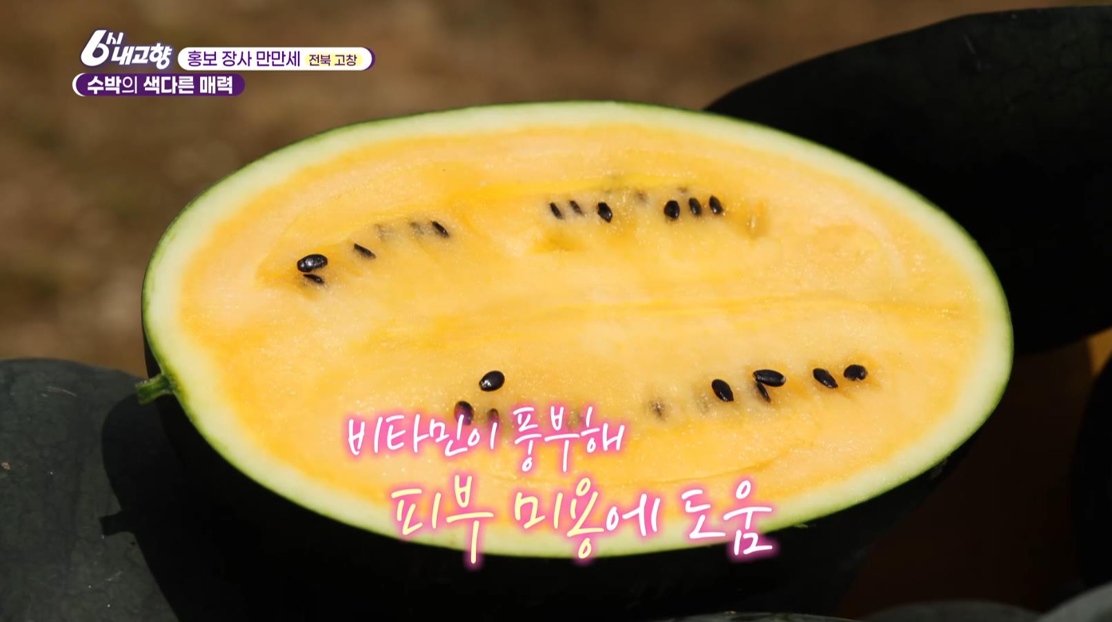 노란색의 6시내고향 블랙망고수박