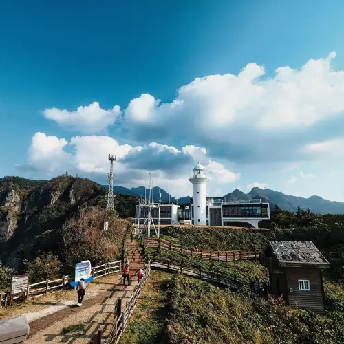 강릉 울릉도 배편