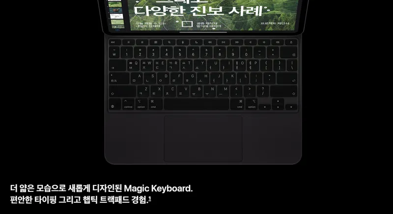 아이패드 프로 7세대 M4 13