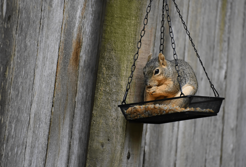 숨은 보험금 찾기 - 알아두면 득이 되는 완벽 가이드 관련사진