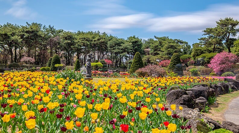 파주 벽초지 수목원 수국