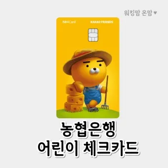 NH농협카드 발급조건 및 혜택정리_8