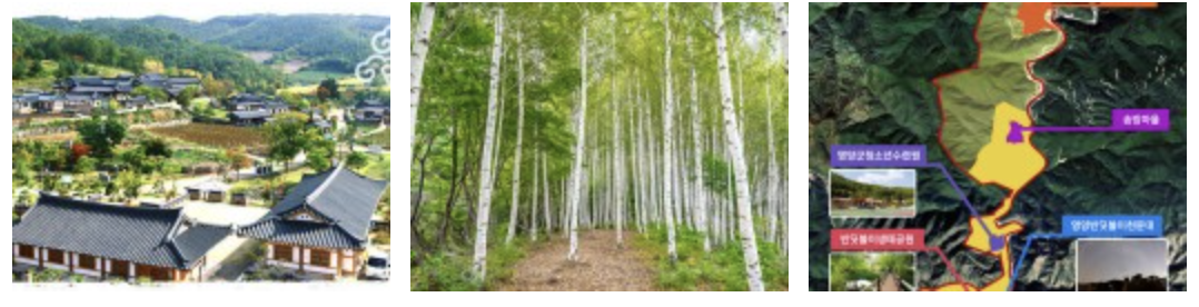 영양수비별빛캠핑장 관련 사진