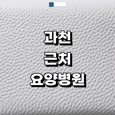 과천시 요양병원