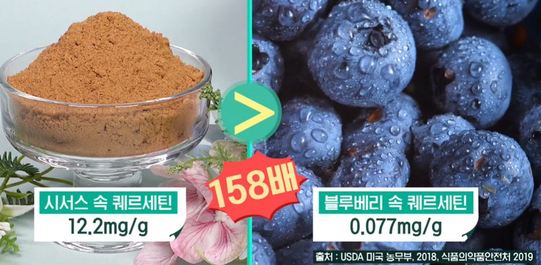 시서스 효능