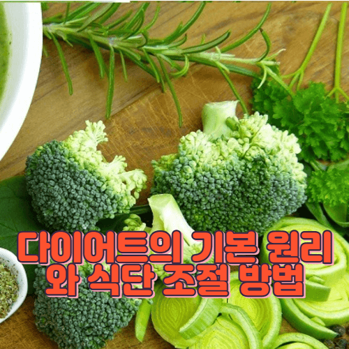 다이어트의 기본 원리와 식단 조절 방법