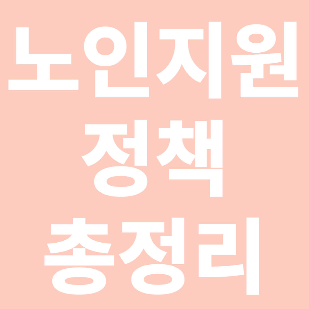 노인지원 정책 총정리