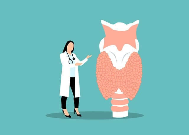 갑상선기능저하증 및 항진증 검사 방법 관리