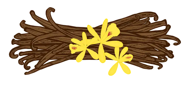 고구마 줄기 보관법