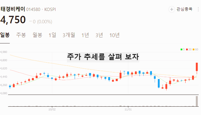 제설 관련주 대장주 테마주 수혜주 TOP5