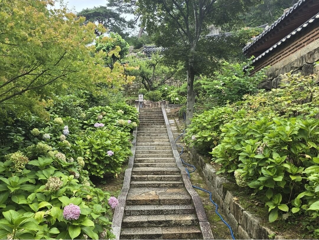 백팔번뇌계단사진