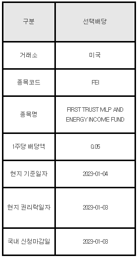 미국주식 선택배당 안내 FEI