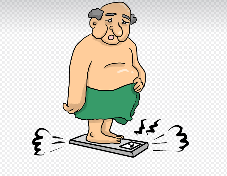 힘스앤호스 관련 이미지