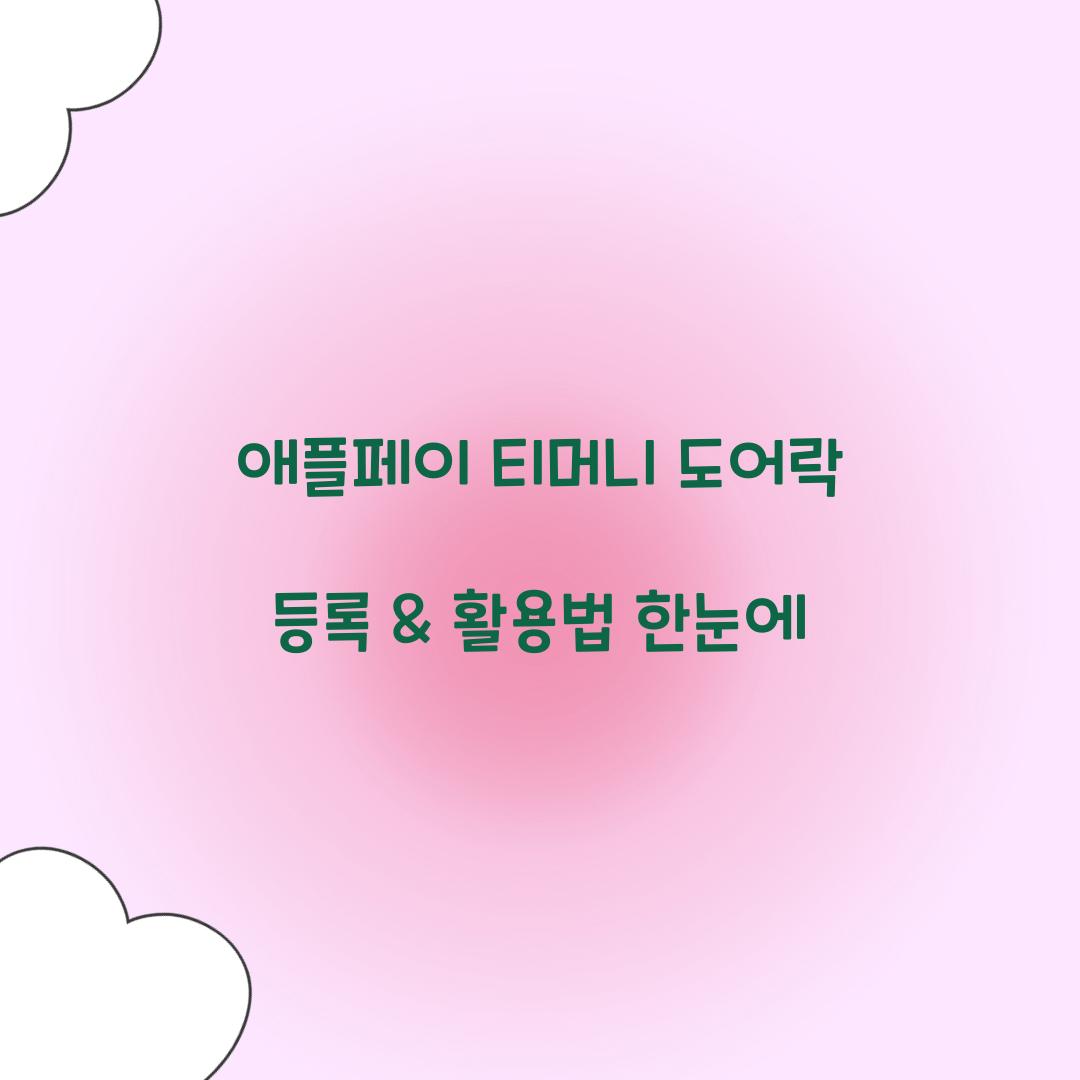 애플페이 티머니 도어락