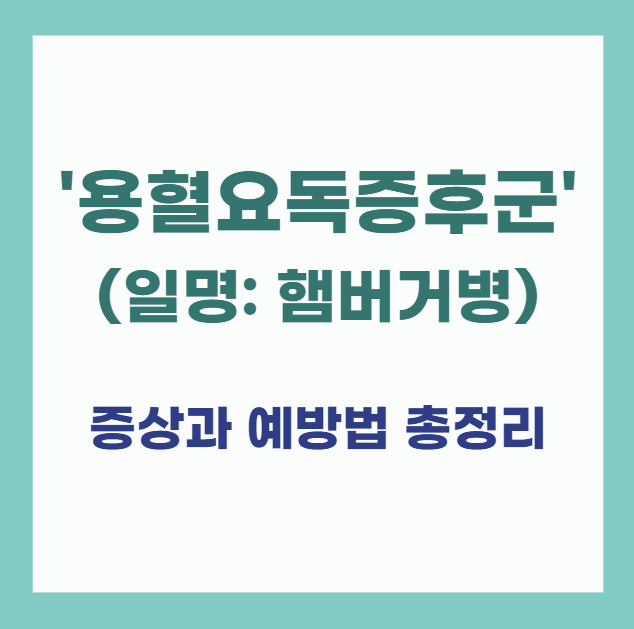 햄버거병이라-불리는-'용혈요독증후군'-증상과-예방법-총정리