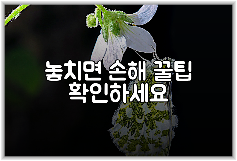 놓치면 손해 꿀팁 확인하세요