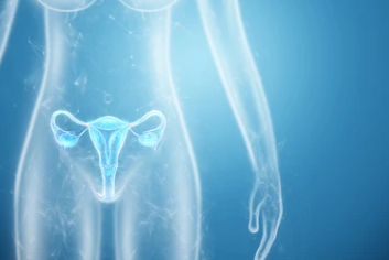 자궁암 4기 생존율