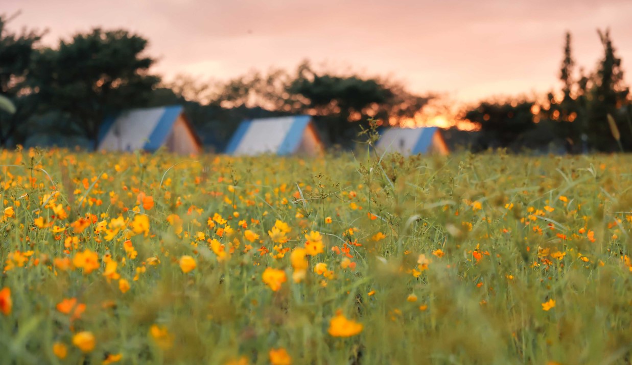 순천만 국제 정원 박람회