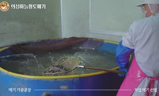 메기양식장